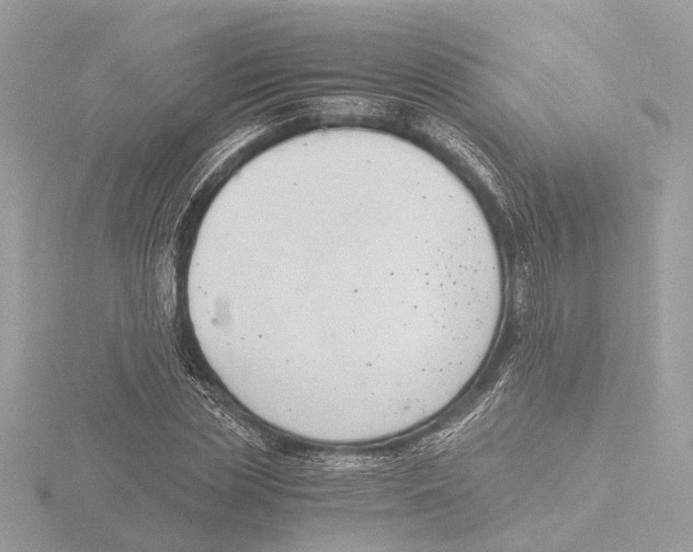 X0000116140829200912211447