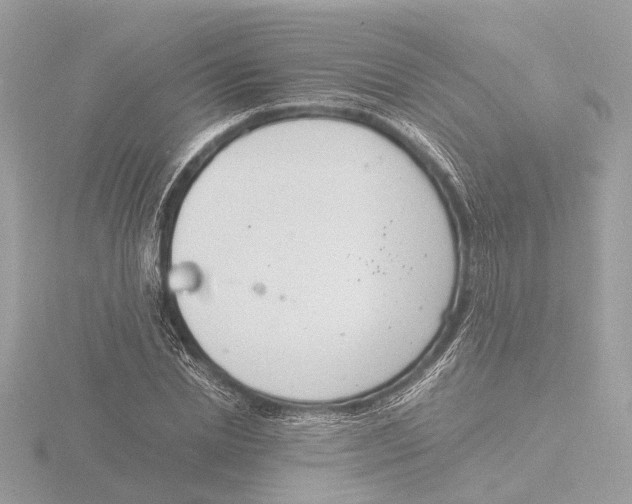 X0000116140830200912211447