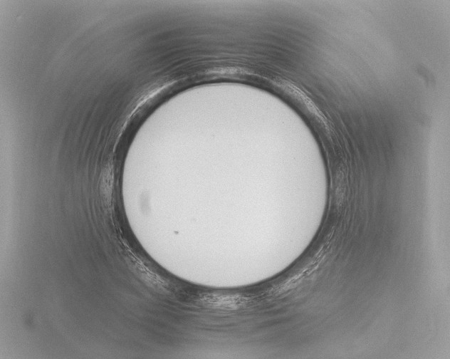 X0000116140831200912211447