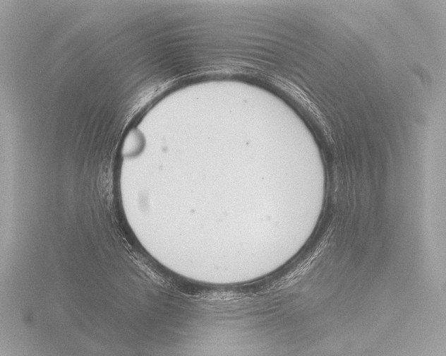 X0000116140834200912211447