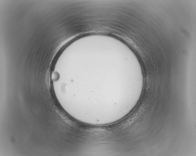 X0000116140838200912211447