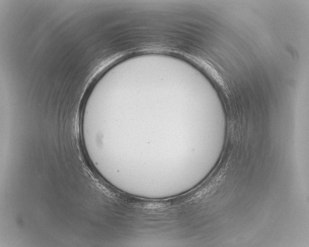 X0000116140839200912211447