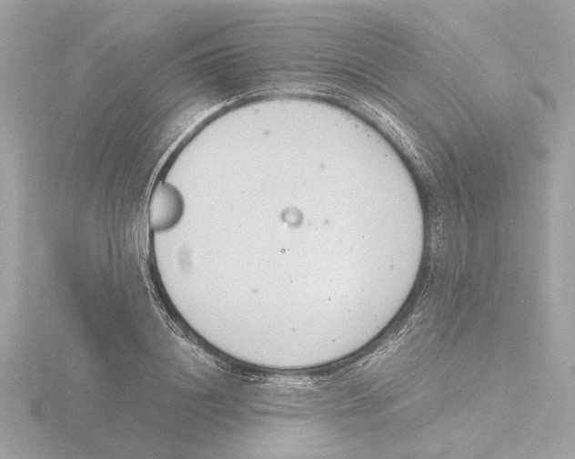 X0000116140844200912211447