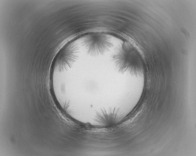 X0000116140845200912211447