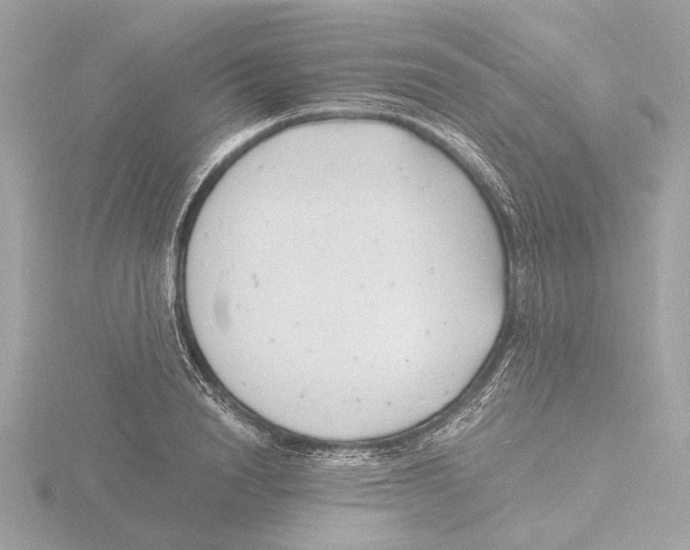 X0000116140846200912211447