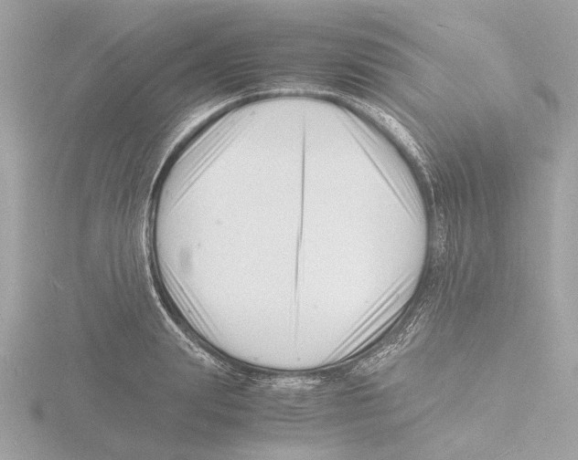 X0000116140847200912211447