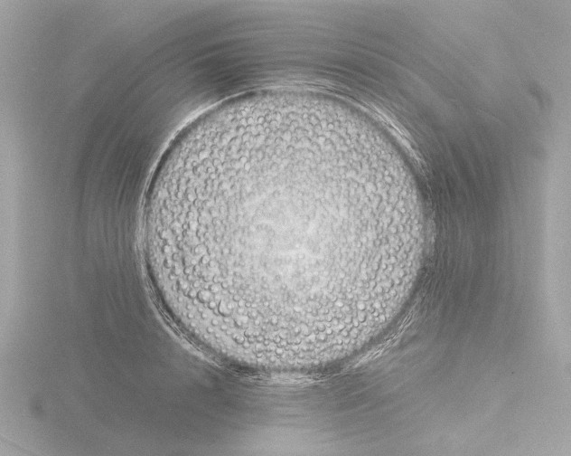 X0000116140848200912211447