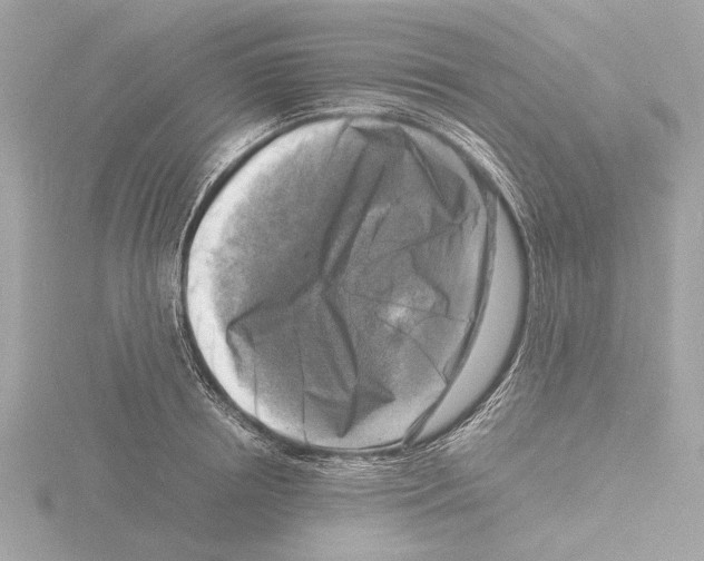 X0000116140850200912211447