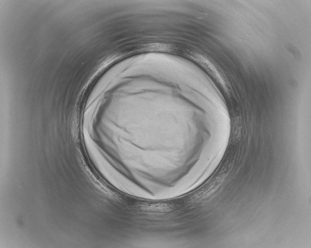 X0000116140851200912211447