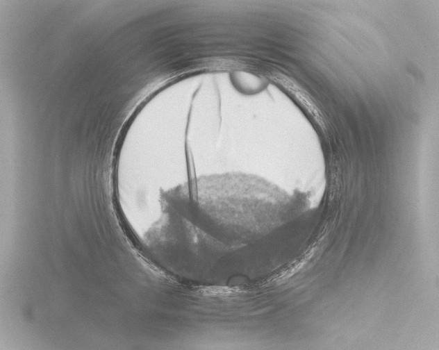 X0000116140853200912211447