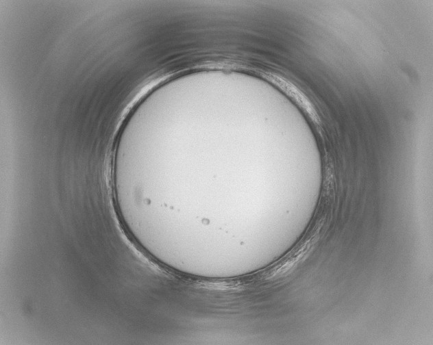 X0000116140855200912211447