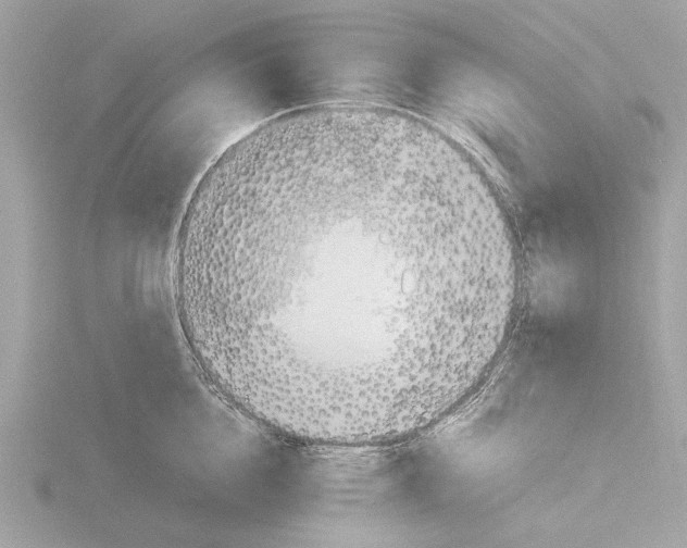 X0000116140856200912211447