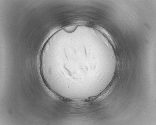 X0000116140859200912211447