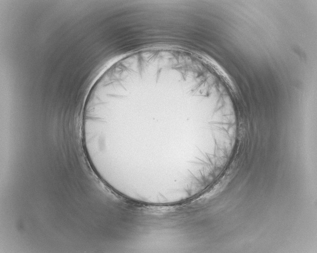 X0000116140860200912211447