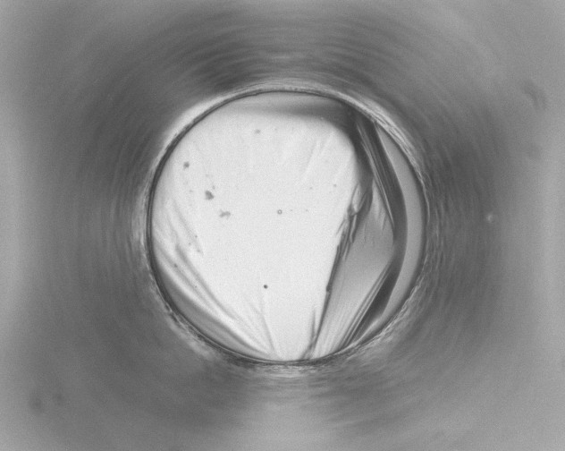 X0000116140862200912211447