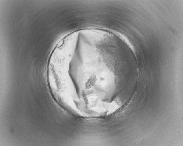 X0000116140863200912211447