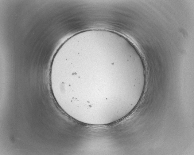 X0000116140864200912211447