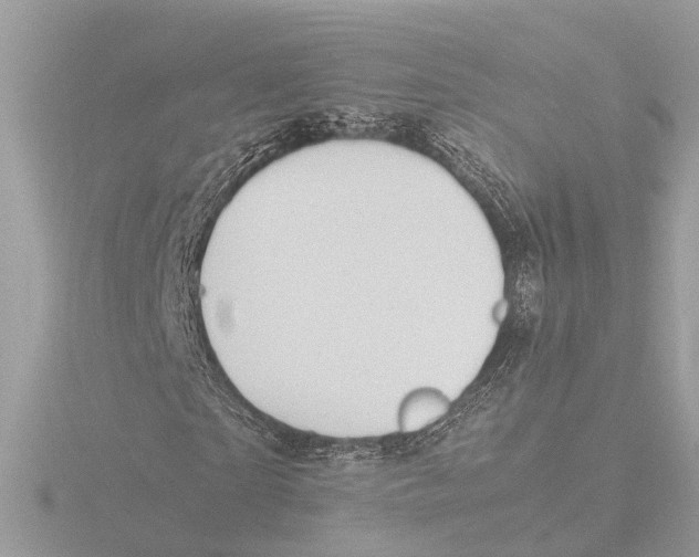 X0000116140865200912211446