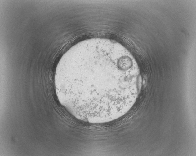 X0000116140867200912211446