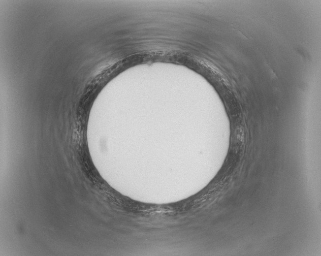 X0000116140869200912211446