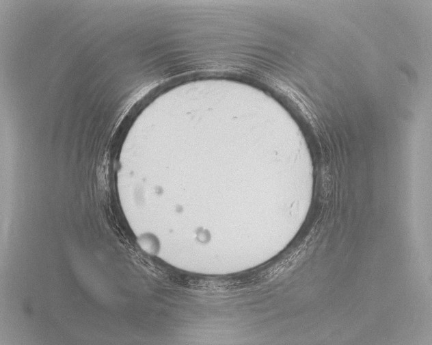 X0000116140875200912211446