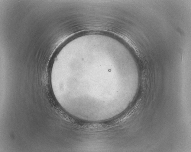 X0000116140879200912211446