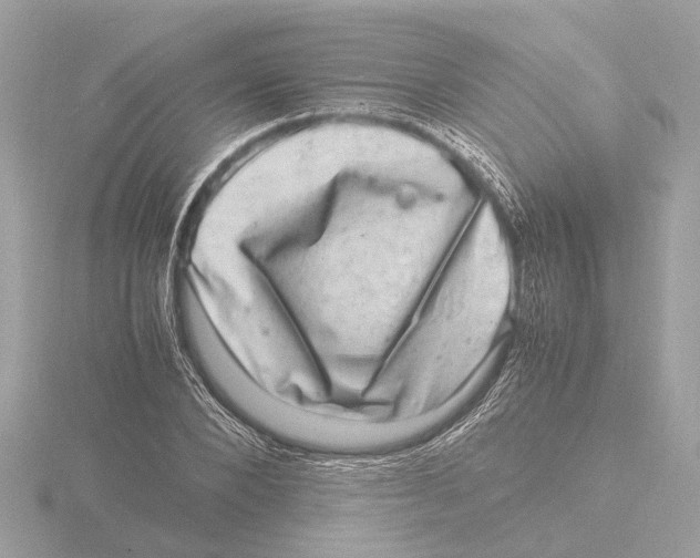 X0000116140880200912211446