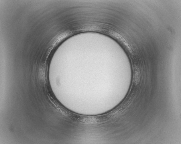 X0000116140882200912211446