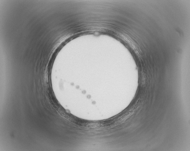 X0000116140883200912211446