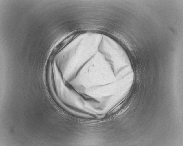 X0000116140885200912211446