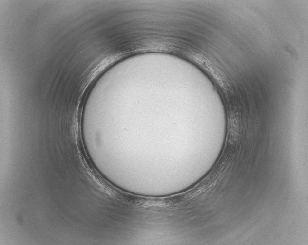 X0000116140890200912211446