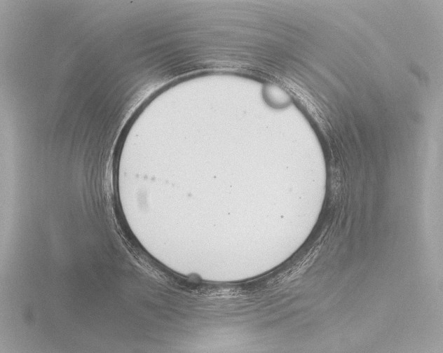 X0000116140891200912211446