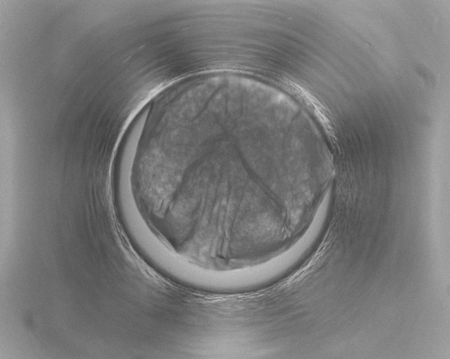 X0000116140892200912211446