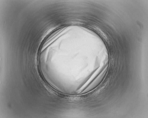 X0000116140893200912211446