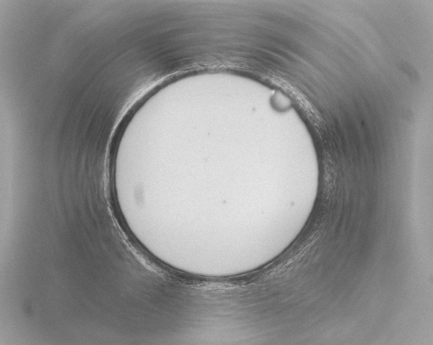 X0000116140894200912211446