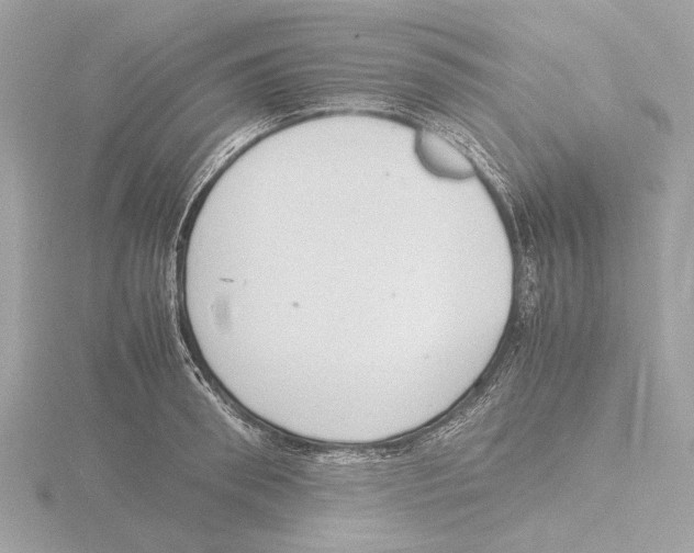 X0000116140898200912211446