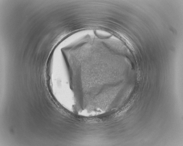 X0000116140899200912211446