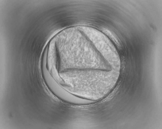 X0000116140900200912211446