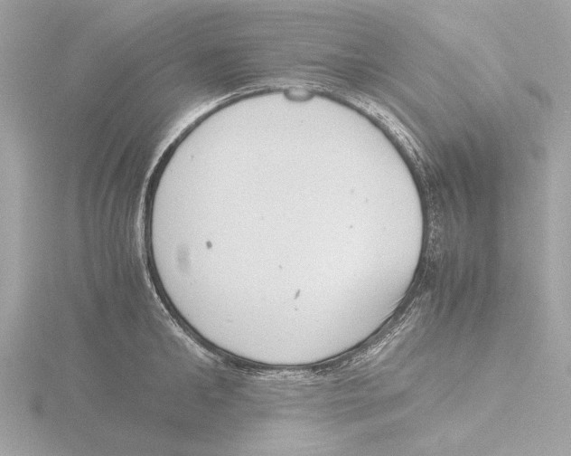 X0000116140902200912211446