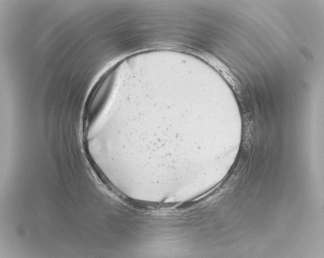 X0000116140904200912211446