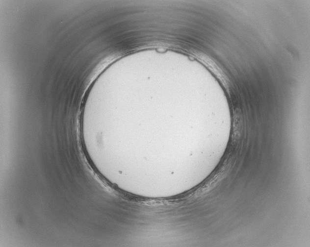 X0000116140906200912211446