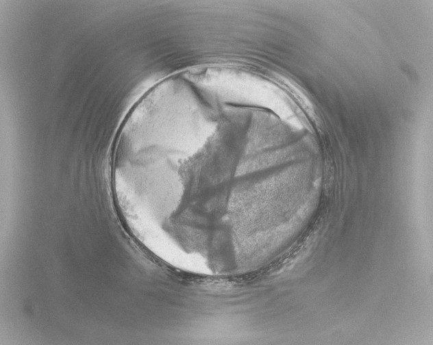 X0000116140907200912211446