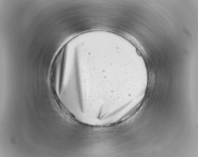 X0000116140908200912211446