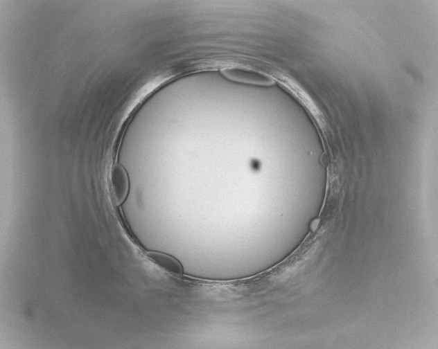 X0000116140909200912211446