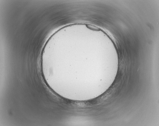 X0000116140911200912211446