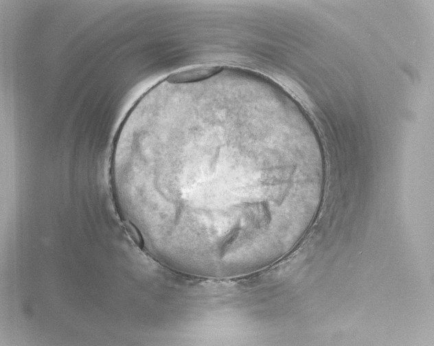 X0000116140912200912211446