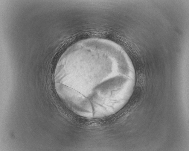 X0000116140913200912211445