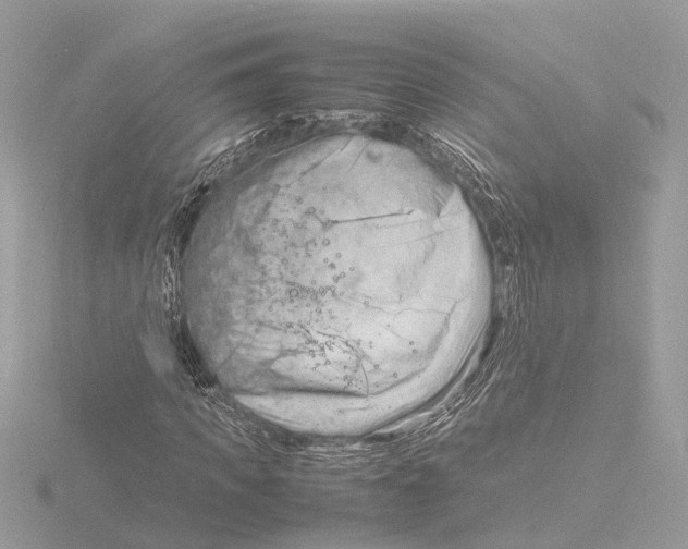 X0000116140917200912211445