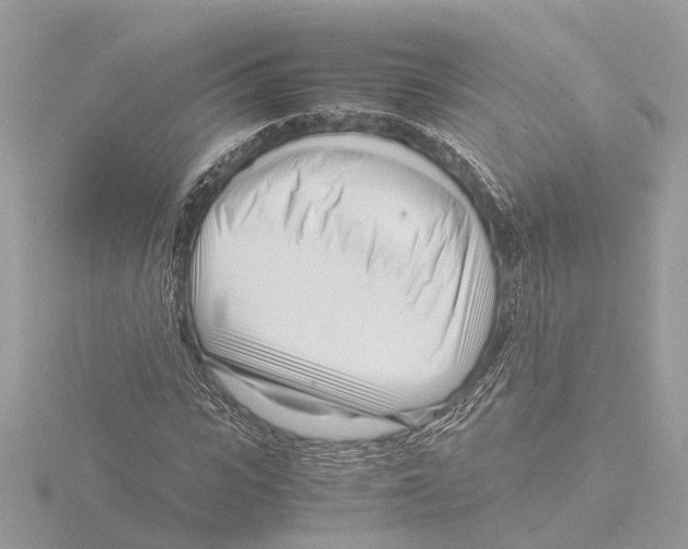 X0000116140919200912211445