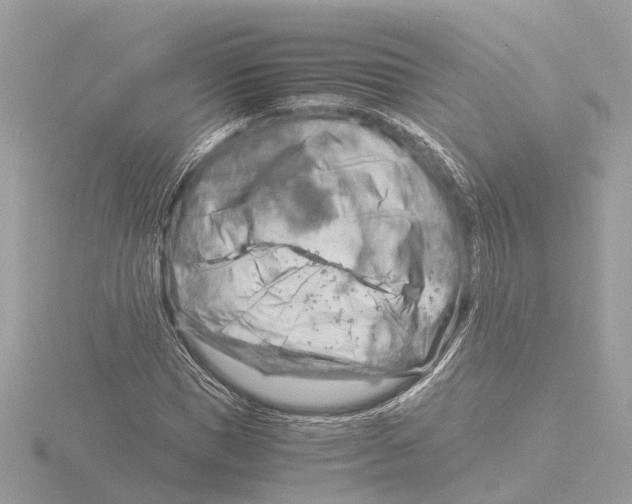 X0000116140921200912211445